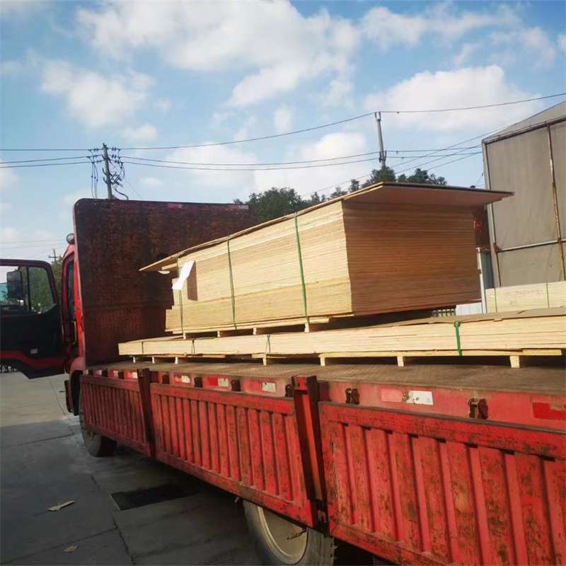 黑龙江绥化北林至塔城货运专线，一站式物流服务助您成功
